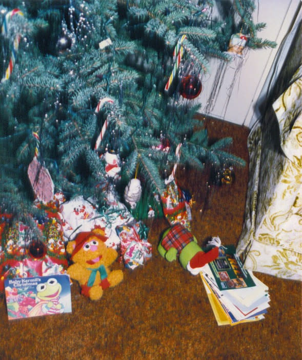 Cathy Swartz's apartment decorated for Christmas. (Courtesy)