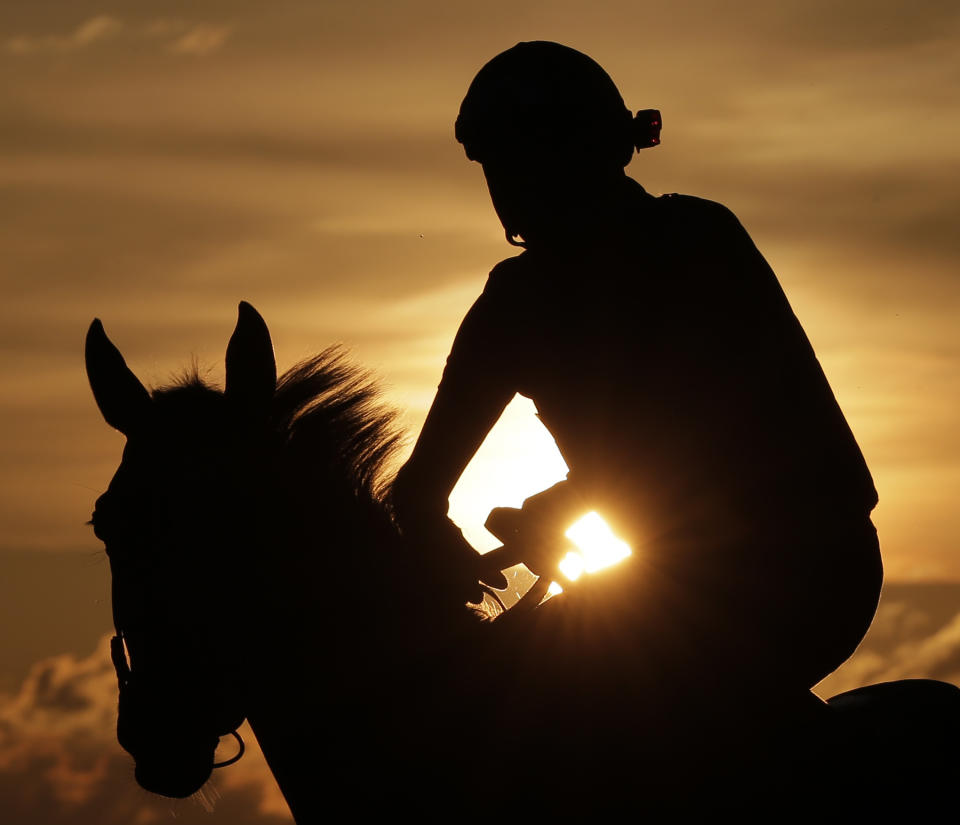 Horses arrive at sunrise for workouts at Belmont Park in Elmont, N.Y., Friday, June 7, 2019. The 151st Belmont Stakes horse race will be run on Saturday, June 8, 2019. (AP Photo/Seth Wenig)