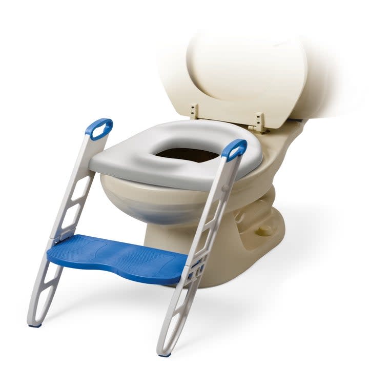 A potty seat with a step
