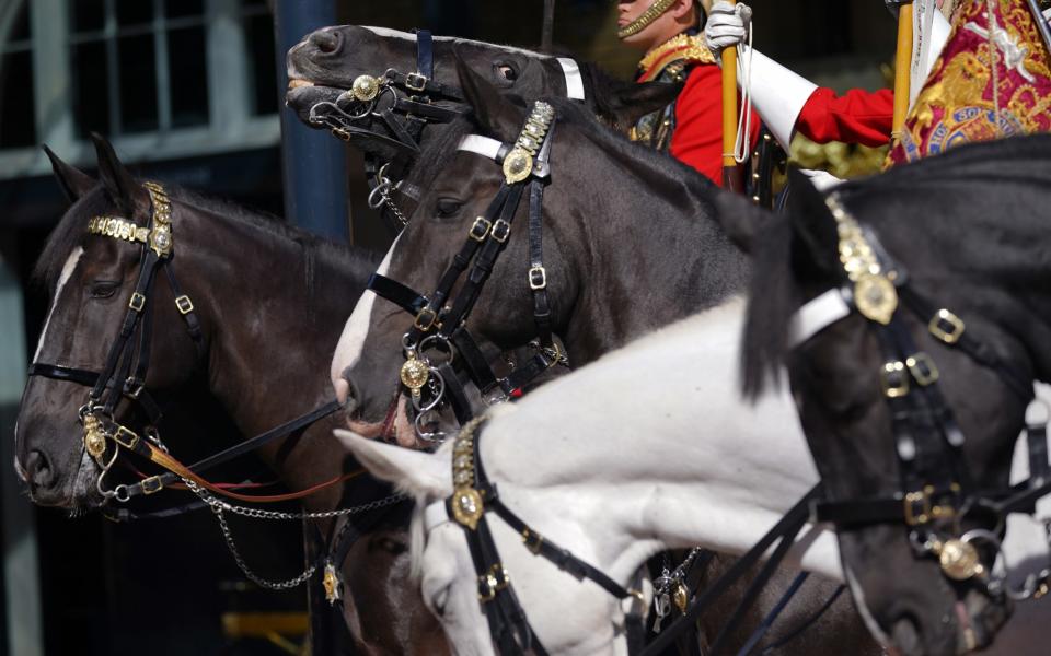 Members of the Household Cavalry in the courtyard of the Royal Mews - Yui Mok/PA Wire