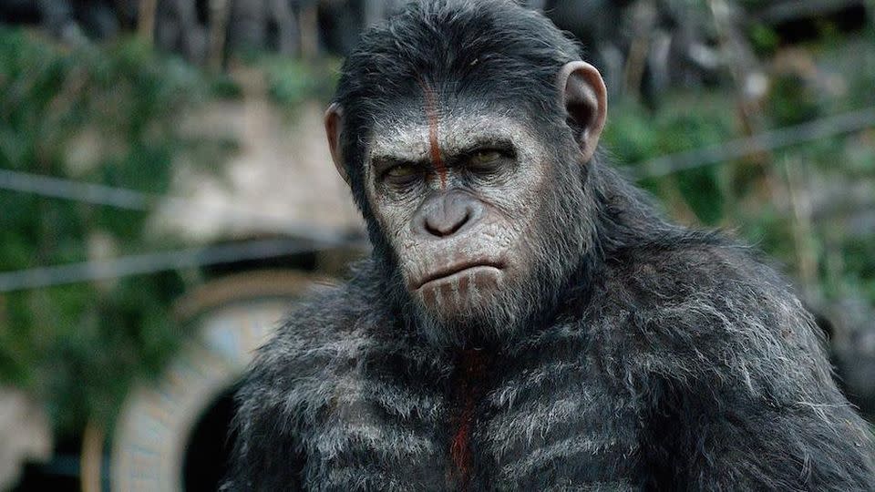 <p> The standout movie of the new Planet of the Apes trilogy. Once again, Andy Serkis delivers a masterful motion-capture performance as Caesar. The movie is full of exhilarating battles with emotional weight, as over a decade of devastation has yet to put an end to the war between man and ape. Dawn of the Planet of the Apes is both the perfect summer blockbuster and a memorable social commentary. </p>