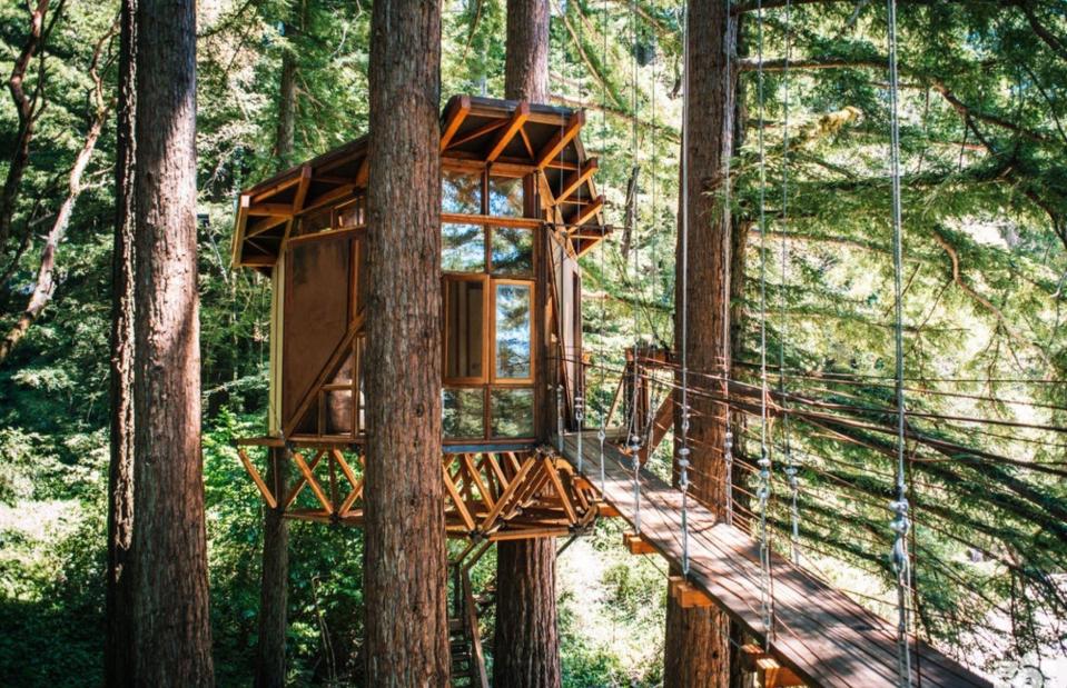 <p>O2 Treehouse</p>