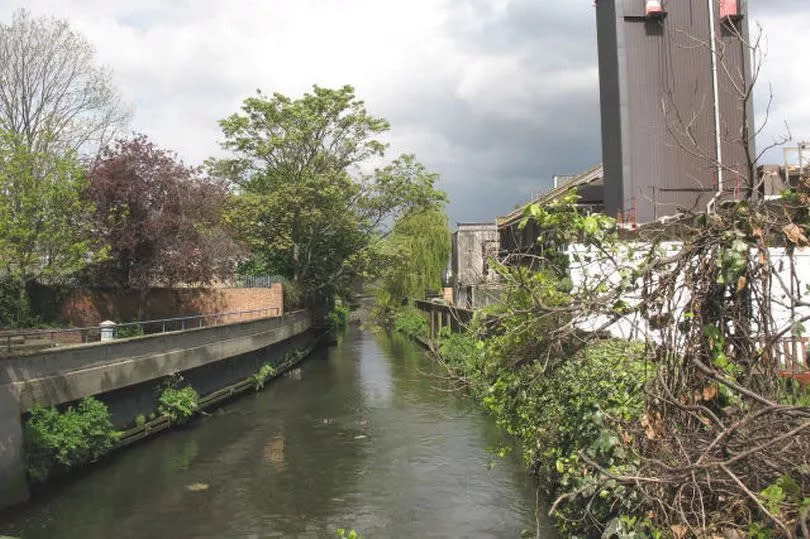 Wandle in Wandsworth