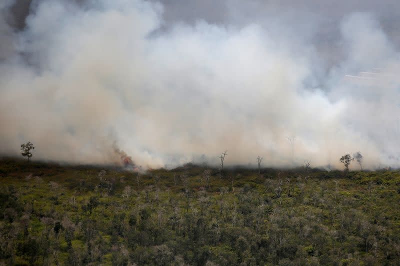 FILE PHOTO: Smoke covers a forest during fires near Banjarmasin in South Kalimantan province