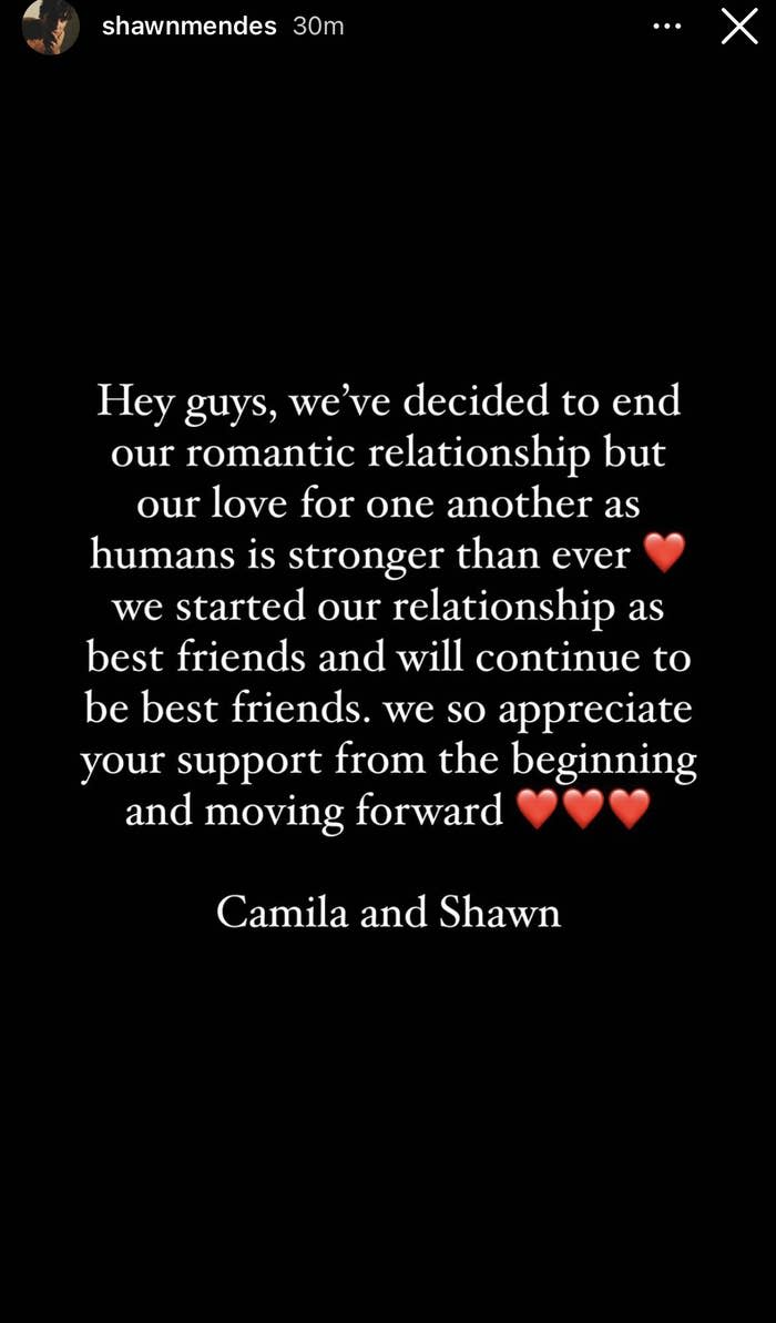 The statement shared on Mendes' Instagram