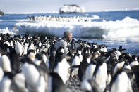 <b>Frozen Planet, BBC One, Wed, 9pm</b><br><b> Episode 2</b><br><br>Cameraman Mark Smith filming Adélie penguins on the beach of the Cape Crozier colony, Antarctica. After 1000 hours working alone amongst the penguins, Mark and producer Jeff Wilson began to lose their minds.