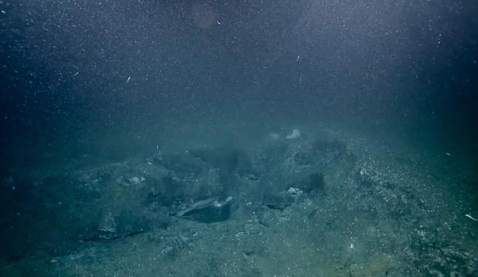 500 'Champagne' Methane Seeps Discovered Off Pacific Coast