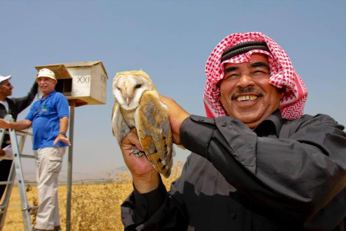 A Jordanian farmer holds a barn owl as a Jewish Israeli farmer, in the blue top, examines a nest box: Hagai Aharon