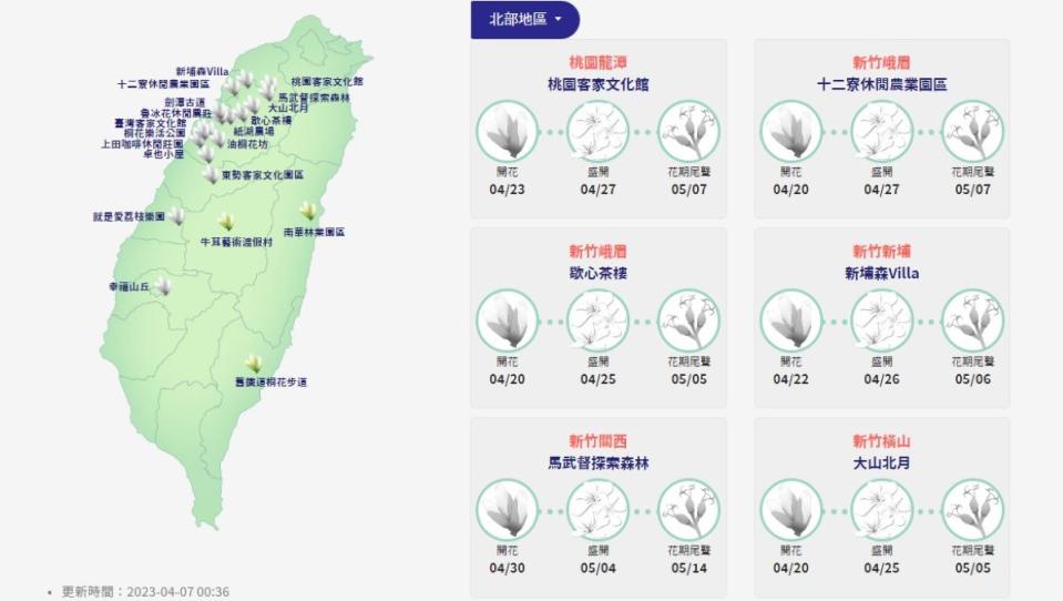 客委會即時桐花花況，提供民眾賞四月雪各項資訊。（圖：客委會網站）