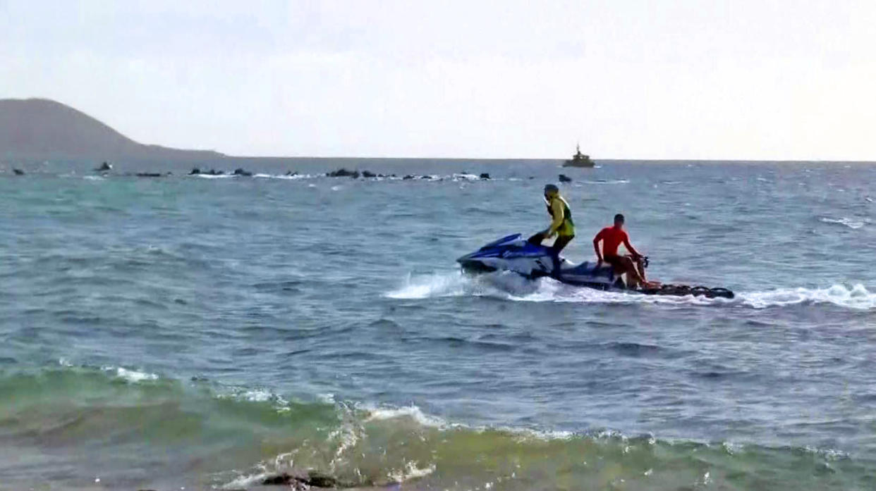 Rescuers search for a missing snorkeler at Keawakapu Point in Kihei, Hawaii (KHNL)