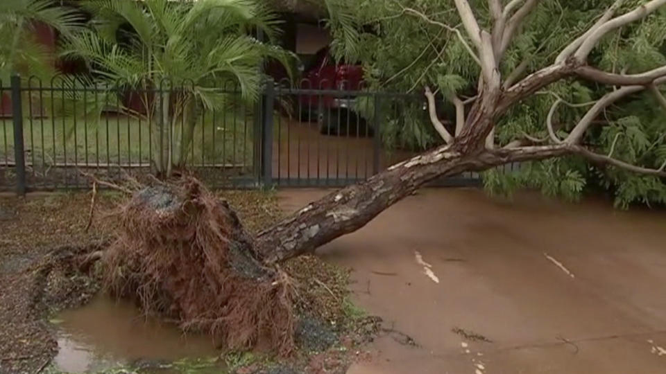 In this image made off video, a tree is uprooted in Port Hedland, Western Australia, Monday, March 25, 2019. Slow-moving Cyclone Veronica that lashed northwest Australia was weakening on Monday. (The Australian Broadcasting Corp via AP)