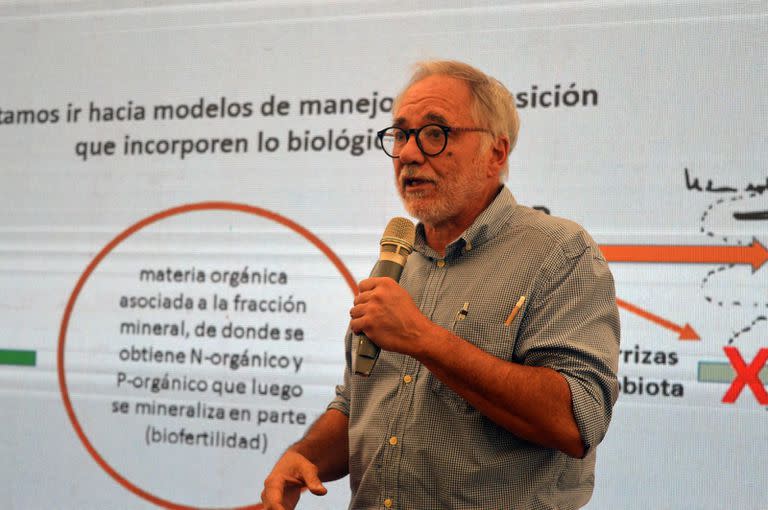 Luis Wall, doctor en Ciencias Bioquímicas del Conicet