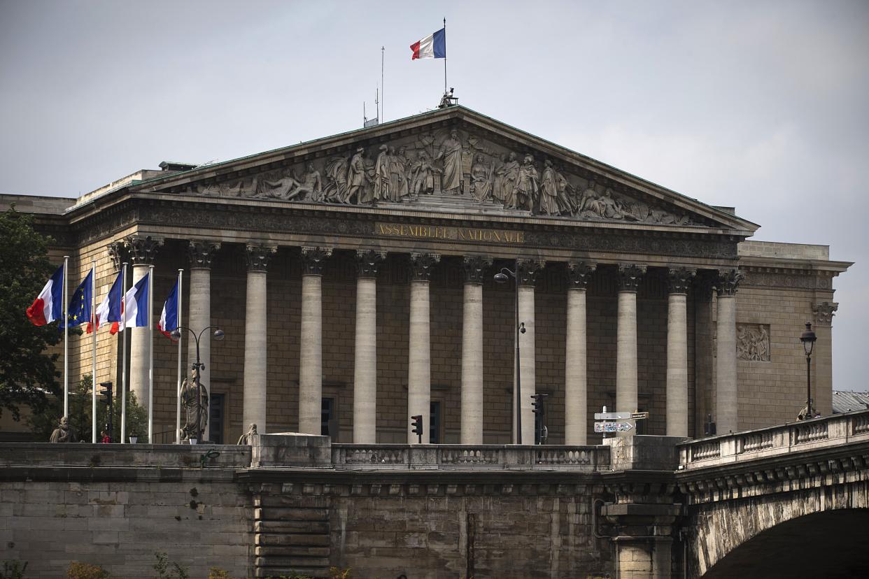 Le Palais-Bourbon - Joël SAGET / AFP