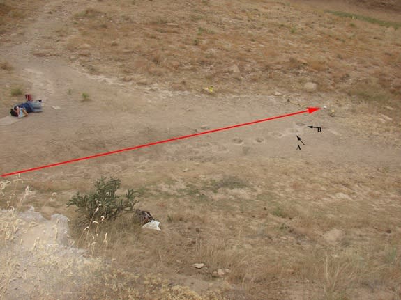 The tracks of a clumsy dinosaur cross a seasonal creekbed in Oklahoma.