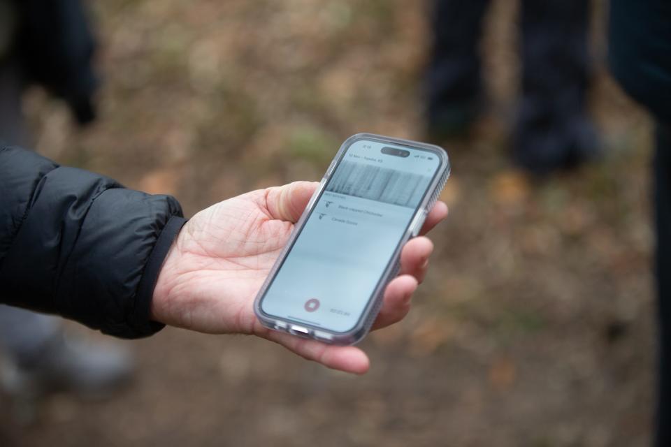Randy Carman shows the screen of his phone and the app Merlin Bird ID, which uses his phone's microphone to analyze the bird calls that surround him Saturday. The first birds to appear were a black-capped chickadee and Canada goose.