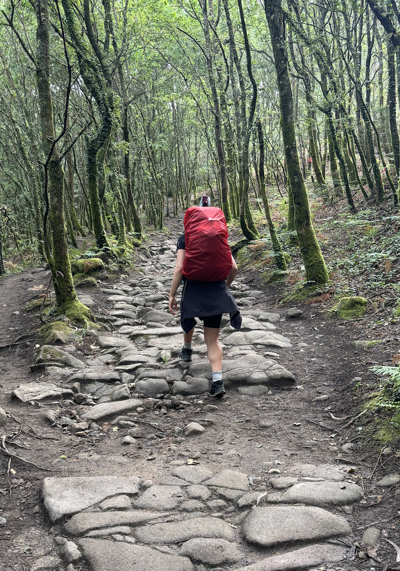 woman hiking up a hill with red backpack, Not a bad place for a hike, hey? (Photo via Kayla Kuefler).