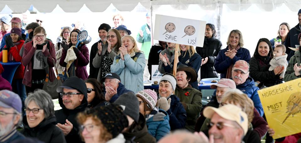 The celebration of new protections for horseshoe crabs brings applause at Long Pasture Wildlife Sanctuary Tuesday afternoon.