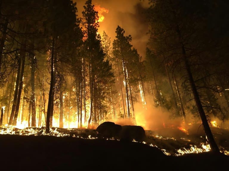 The Graves Mountain fire near Colville, Washington, is shown in this US Forest Service photo from August 25, 2015