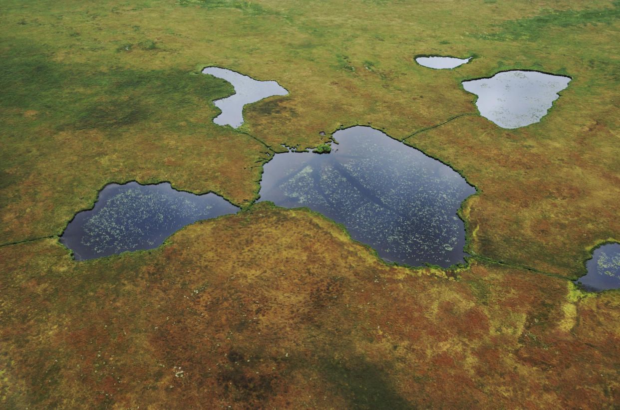 As permafrost melts, it could pose a new risk. (Getty)