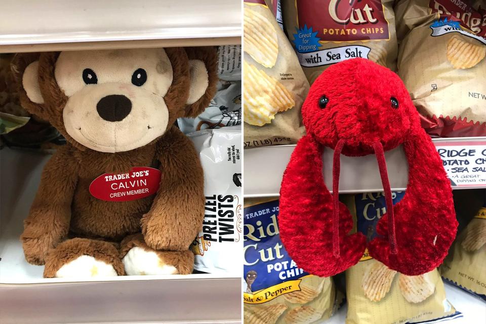 Trader Joe’s Hides Stuffed Animals in Most Stores — and If Kids Find Them, They Can Get a Prize
