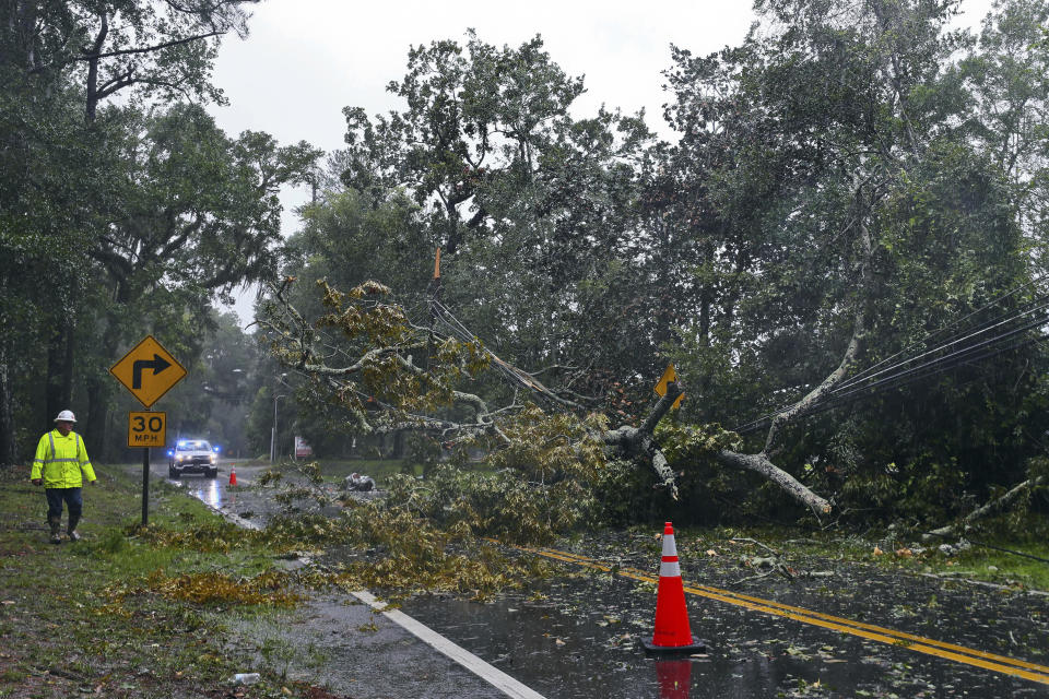 A City of Tallahassee electrical worker assesses damage to power lines after a tree fell on Old St. Augustine amid Hurricane Idalia on Aug. 30, 2023. / Credit: Phil Sears / AP