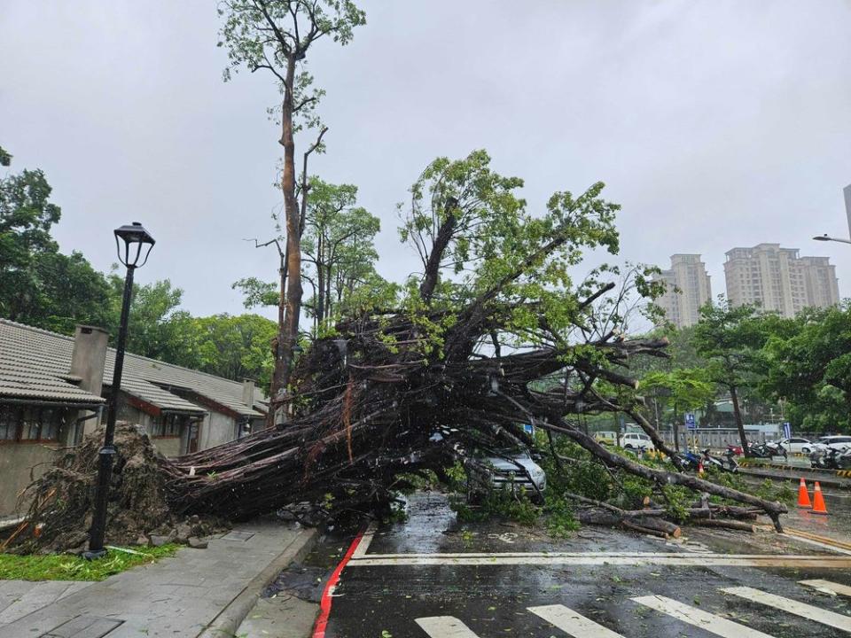 高市府水利局表示，海葵颱風逐漸遠離台灣，但帶來的風雨不容小覷，尤其沿海低窪地區附近民眾要多加注意。  鼓山一路一處鐵皮屋在4時34分，遭倒塌路樹壓毀，所幸屋主侯女自行脫困逃出，未受傷；4日凌晨1時52分，前鎮區中山三路與正勤路口，路旁樹木傾倒壓壓在行駛間的自小客車，正中駕駛座，一民眾頸部受傷，119救護車送阮綜合醫治，前鎮分局復興所線上警組在該路口管制，疏導人、車通行，並通知養工處人員到場處置。  另外，旗津區渡船巷一名莊姓男子，因颱風來襲，遭廢棄玻璃割傷手指，後經救護人員包紮傷口後不願就醫；旗津貝殼館網美打卡聖地，愛琴海裝置藝術被吹折；有冷氣、彈簧床寢具的旗津豪華露營區，露營區也被摧毀，滿目瘡痍，災情慘重。