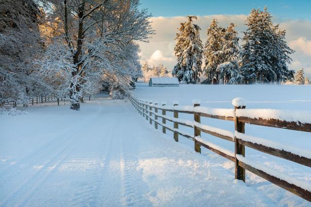 27 Photos That'll Make Winter Your Favorite Season