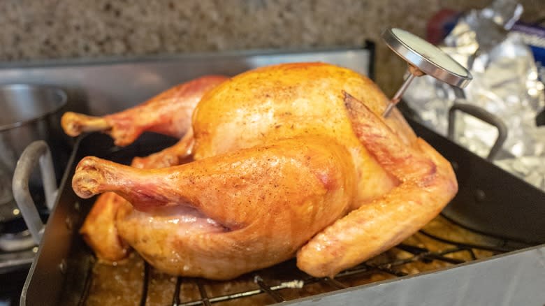 Turkey with meat thermometer
