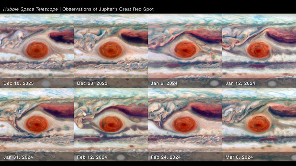 Acht Abschnitte in zwei Viererreihen zeigen Veränderungen des Großen Roten Flecks des Jupiter im Laufe der Zeit.