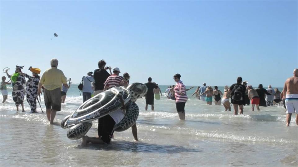 Costumed participants plunge into the Gulf of Mexico off of Bradenton Beach during the 11th annual Clancy’s Shamrock Shiver charity event.