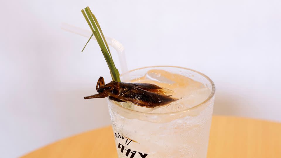 Tagame Cider is a carbonated drink made with the extract of giant water bugs and garnished with a dried version of the insect. - Kim Kyung-Hoon/Reuters