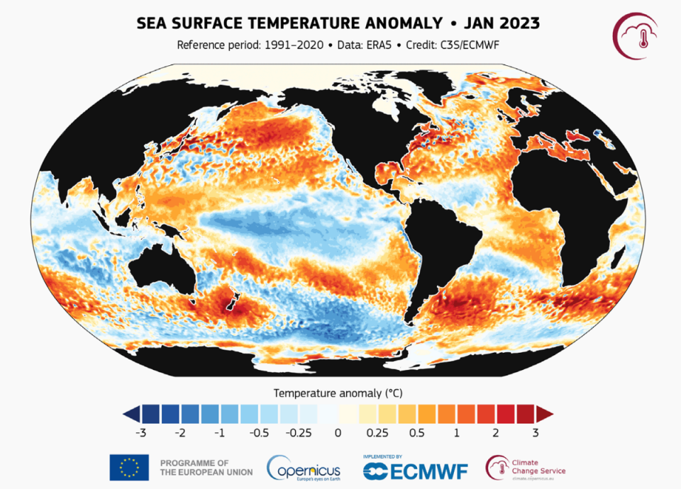 Monthly ocean temperatures in 2023 relative to the 1991– 2020 reference period for corresponding months (C3S/ECMWF)