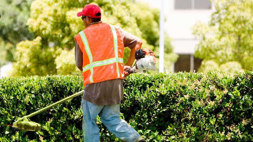 A gardner with a weed wacker.