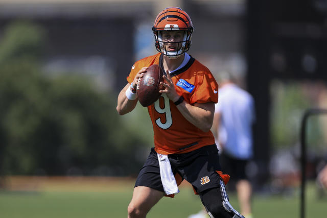 Bengals WR Tee Higgins offers thoughts on Joe Burrow's injury