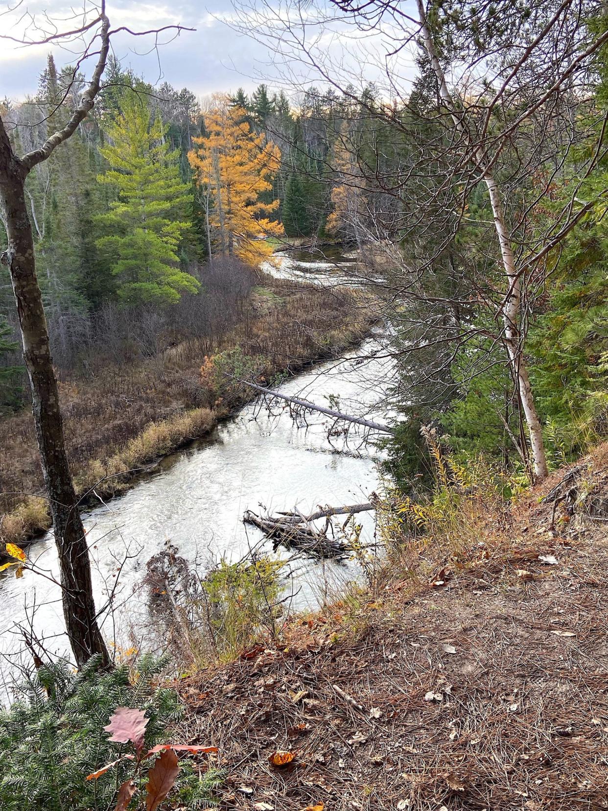 A view of the Pigeon River is seen.