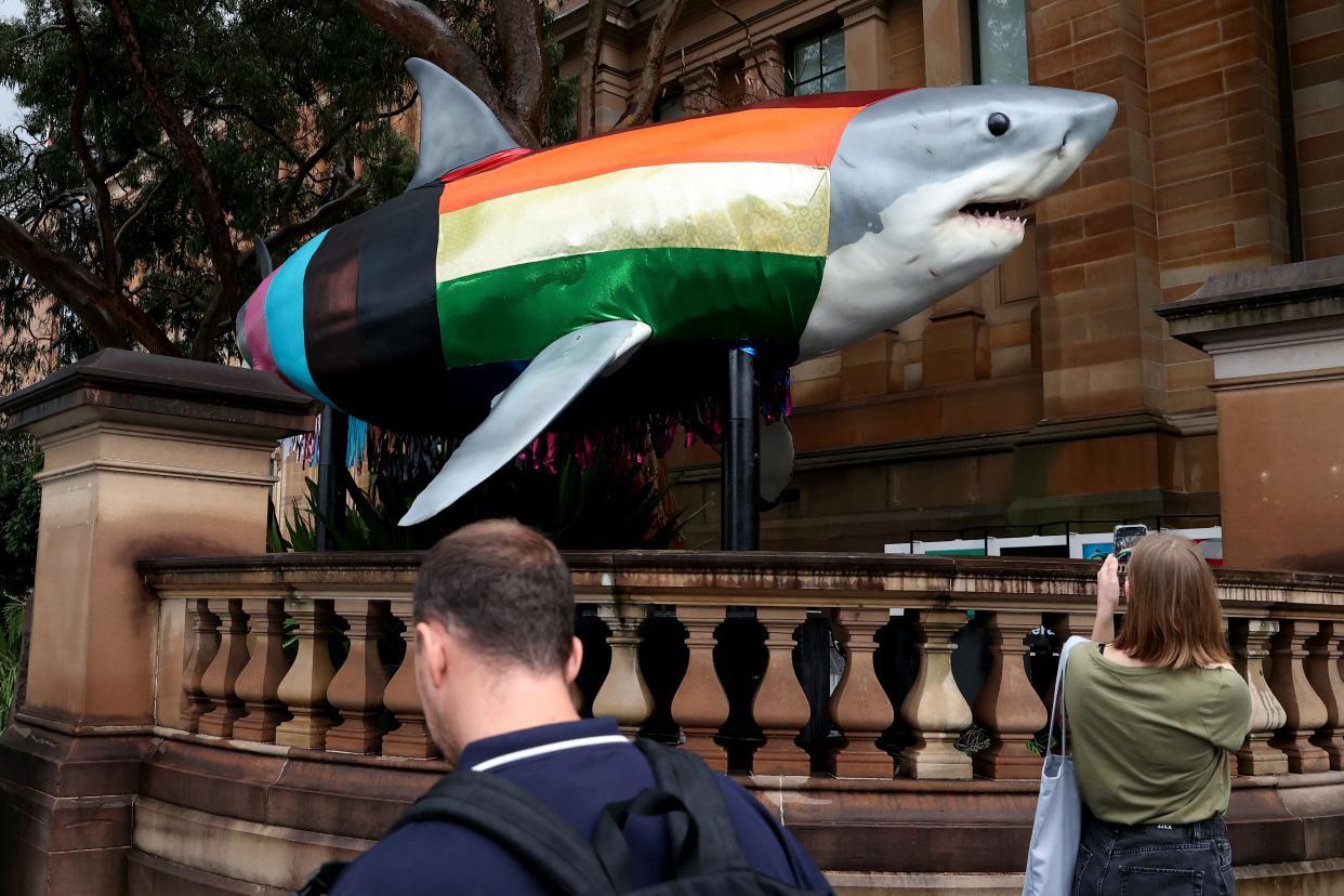 People look at the model of a great white shark, which is decorated with a rainbow sleeve