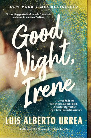 <p>Back Bay Books</p> 'Good Night, Irene: A Novel' by Luis Alberto Urrea