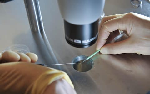 IVM typically costs about £3500 for one round, around £2000 less than a round of IVF - Credit: PA