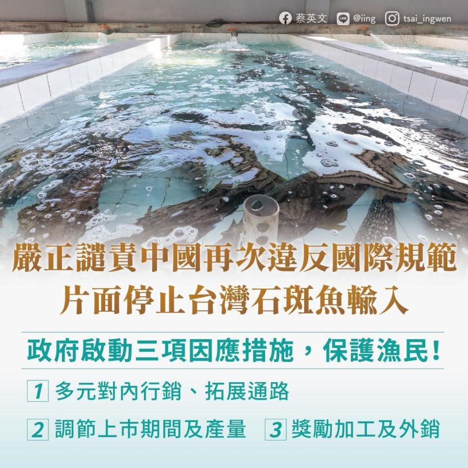 總統蔡英文強力譴責中國片面停止台灣石斑魚輸入的行為。（翻攝蔡英文臉書）