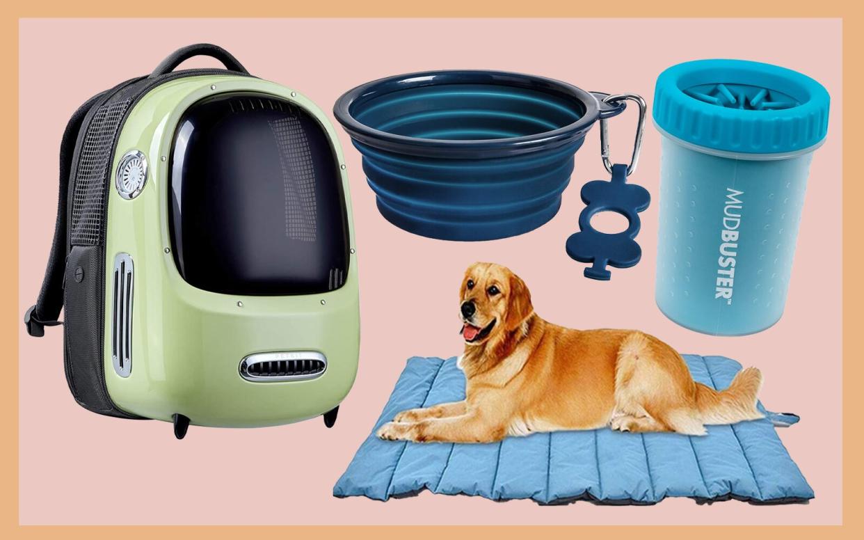 Amazon Pet Must-Haves 2021