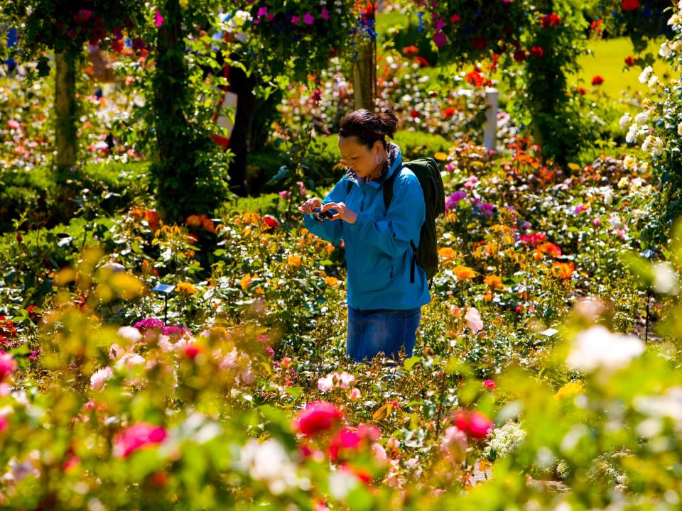 The Butchart Gardens