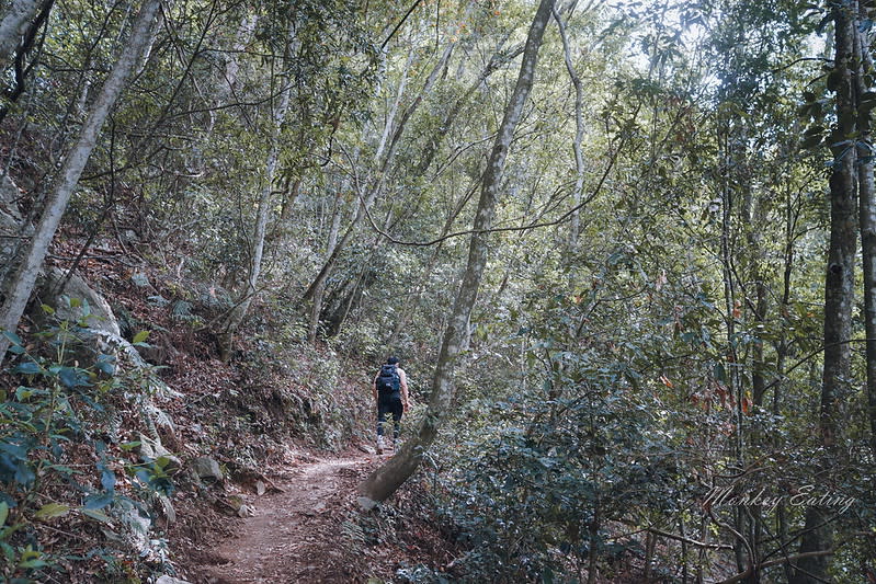 谷關七雄｜波津加山