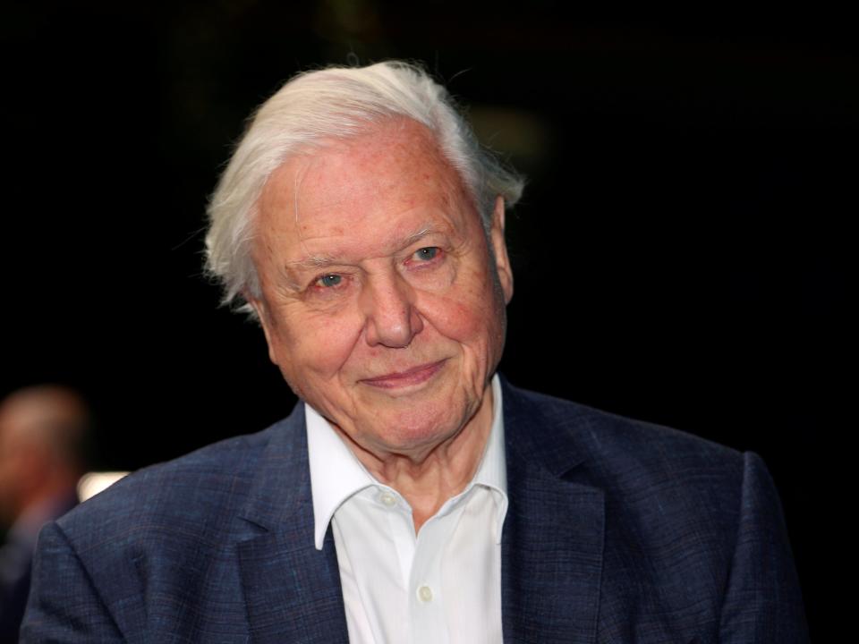 ‘In the end it has to be a political decision to save the world,’ Sir David Attenborough told audiences watching the Wildscreen virtual film festival (REUTERS)