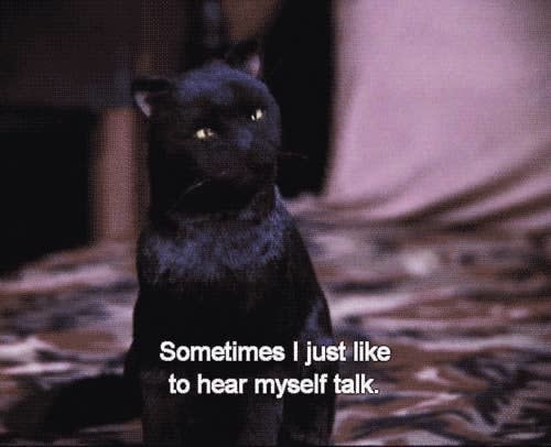 Screenshot of Salem the black cat with "sometimes I just like to hear myself talk" written underneath him