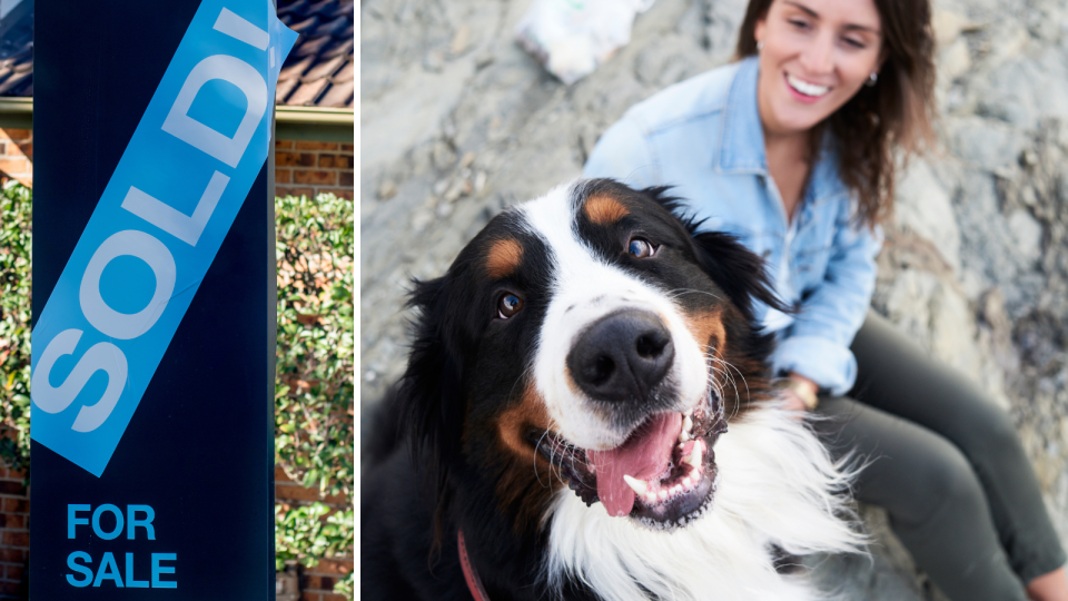 A composite image of a sign out the front of a home indicating it has sold and a happy looking dog outside with its owner.