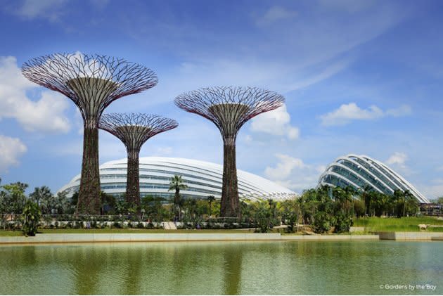 Gardens by the Bay is Singapore's latest big tourist destination. (Photo courtesy of Gardens by the Bay)