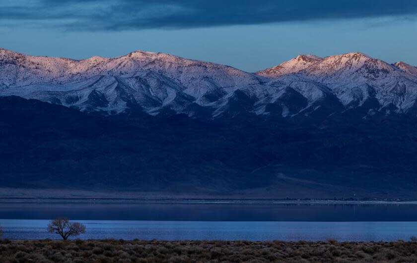 Lone Pine, CA - February 13: A lone cottonwood near the shoreline of a revived Owens Lake more than a century after its inflows were diverted into the Los Angeles Aqueduct on Tuesday, Feb. 13, 2024 in Lone Pine, CA. (Brian van der Brug / Los Angeles Times)