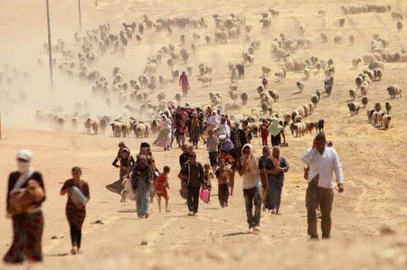 Displaced people from the minority Yazidi sect, fleeing violence from forces loyal to the Islamic State in Sinjar town, walk towards the Syrian border, on the outskirts of Sinjar mountain, near the Syrian border town of Elierbeh of Al-Hasakah Governorate August 10, 2014. REUTERS/Rodi Said/File Photo