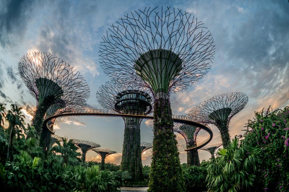 Singapore’s Gardens by the Bay is a popular location for tourist and locals alike.