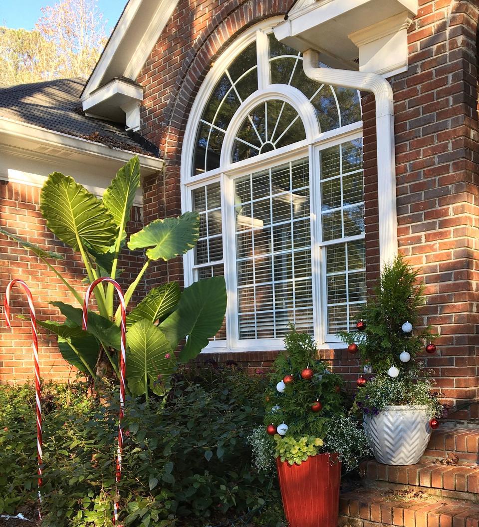 Red and White AquaPots, Santa’s suit colors, are used on each side of the entry to the front door.